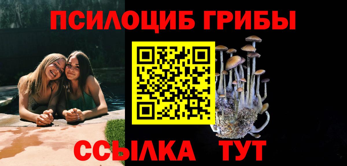 Заинск  Галлюциногенные грибы мицелий  Галлюциногенные грибы Magic Shrooms  Вход с VPN 