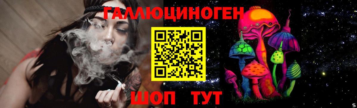 Псилоцибиновые грибы Psilocybe Заинск